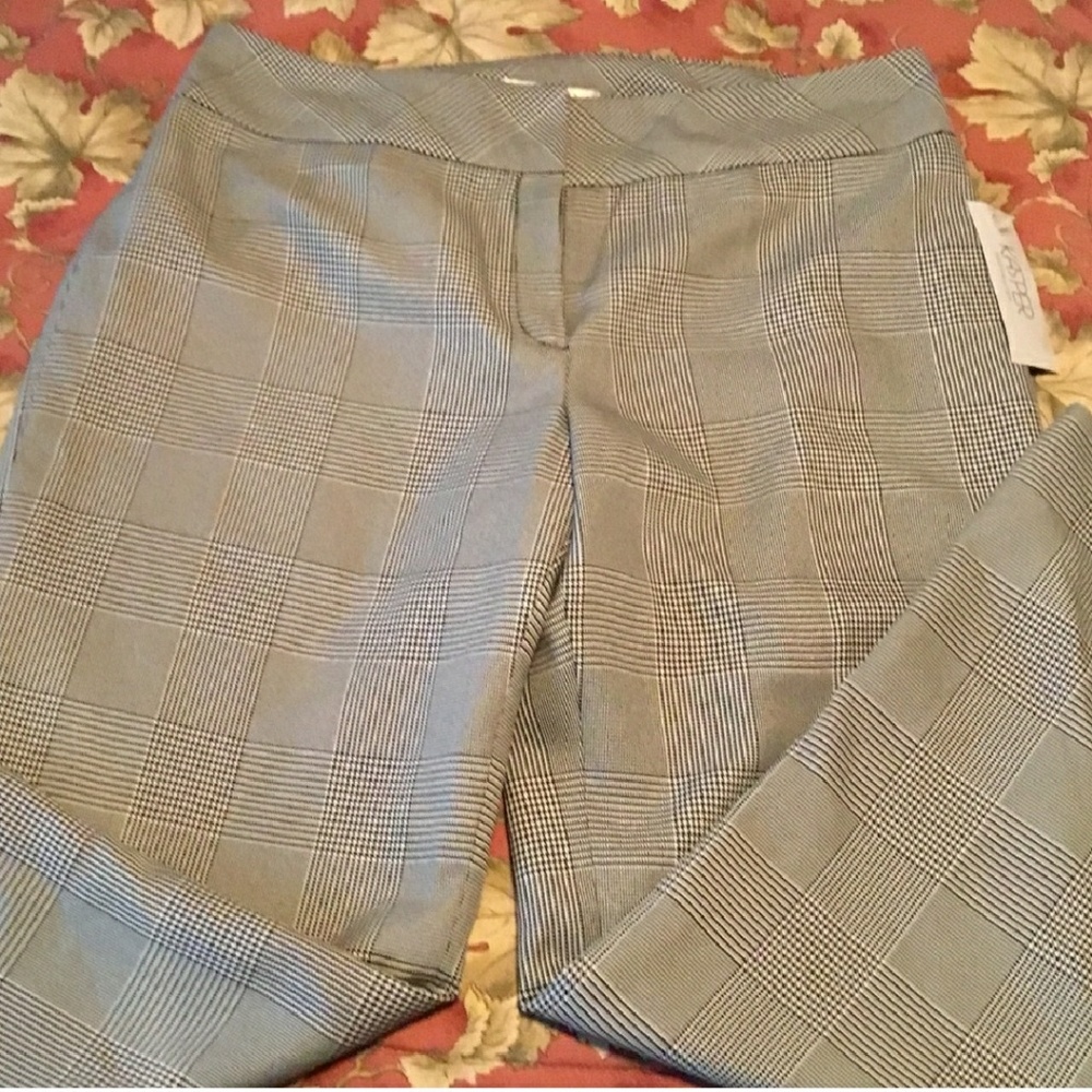 Dressy or work pants